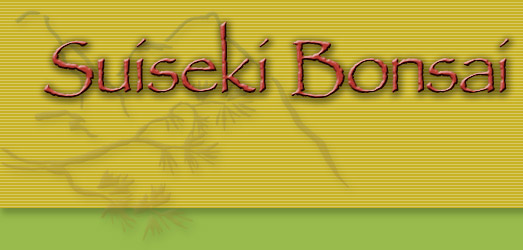 Suiseki Bonsai Miniature Rockscape Garden